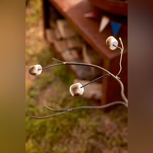 Anthropologie Marshmallow Twig Roaster Set of 2 NWT